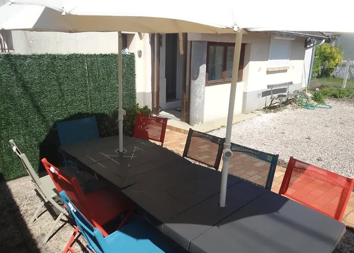 Circuit Expo Zenith *